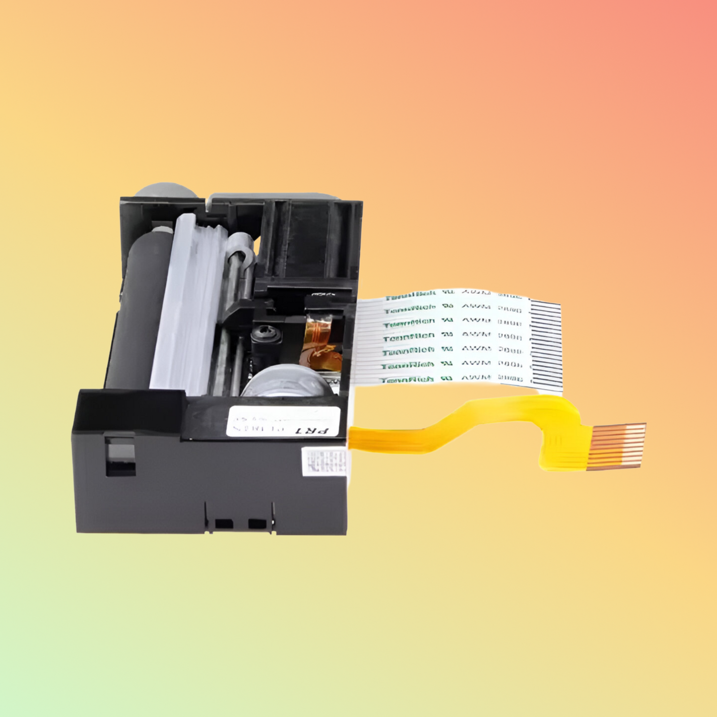 58mm PT481S JX-2R-12: LTP1245 Compatible for Cash & Taxis