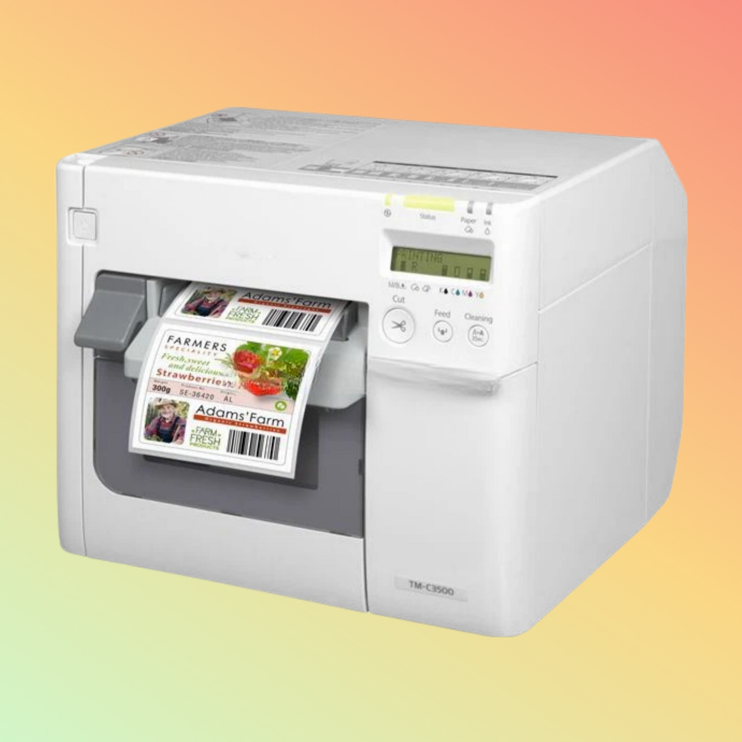 Inkjet Label Printer Roll To Roll 4 Color/CMYK