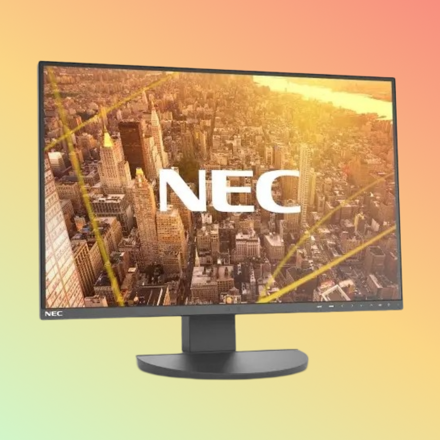 NEC MultiSync EA231WU Monitor - 22.5