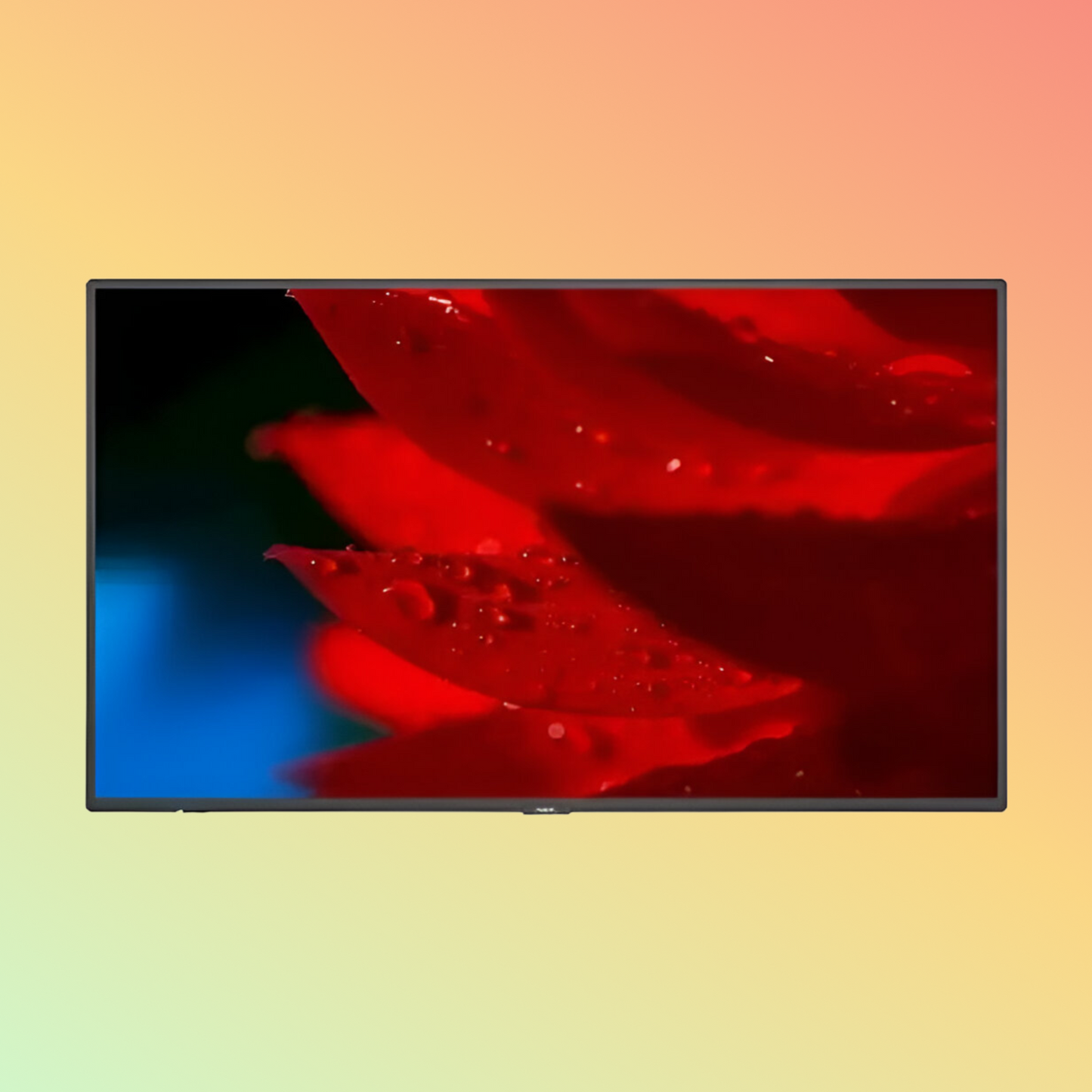 NEC MultiSync M551 Monitor - 55