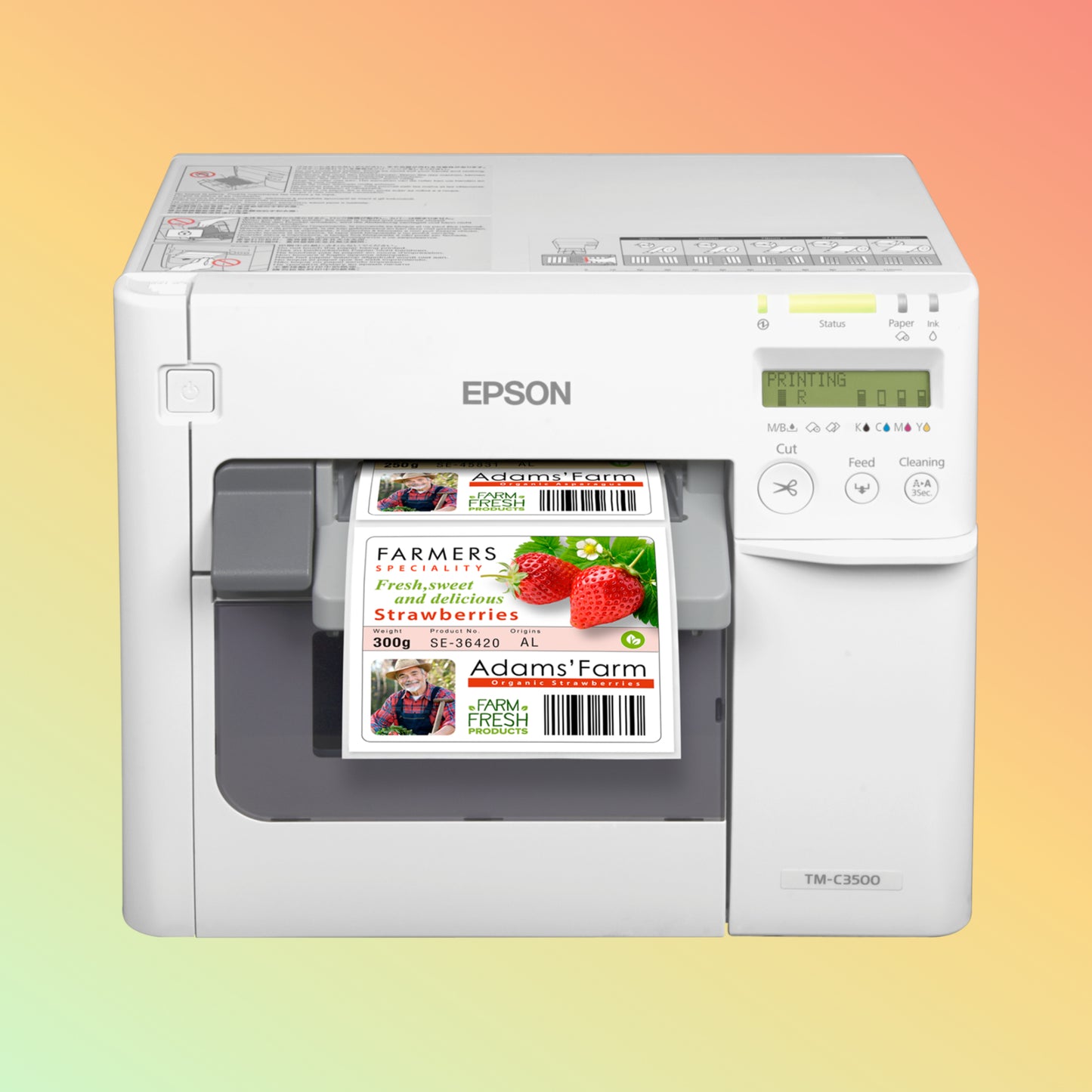 Epson ColorWorks C3500