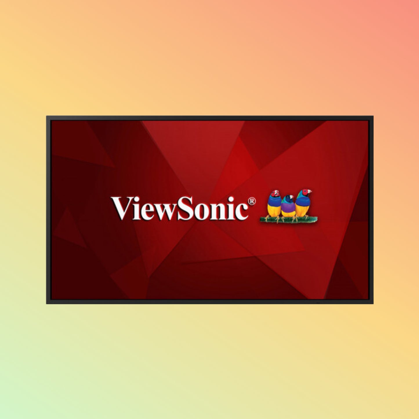 ViewSonic CDE6530-W1 65" 4K Display – 450 nits, 60Hz, Wi-Fi 6, Bluetooth, Portrait/Landscape