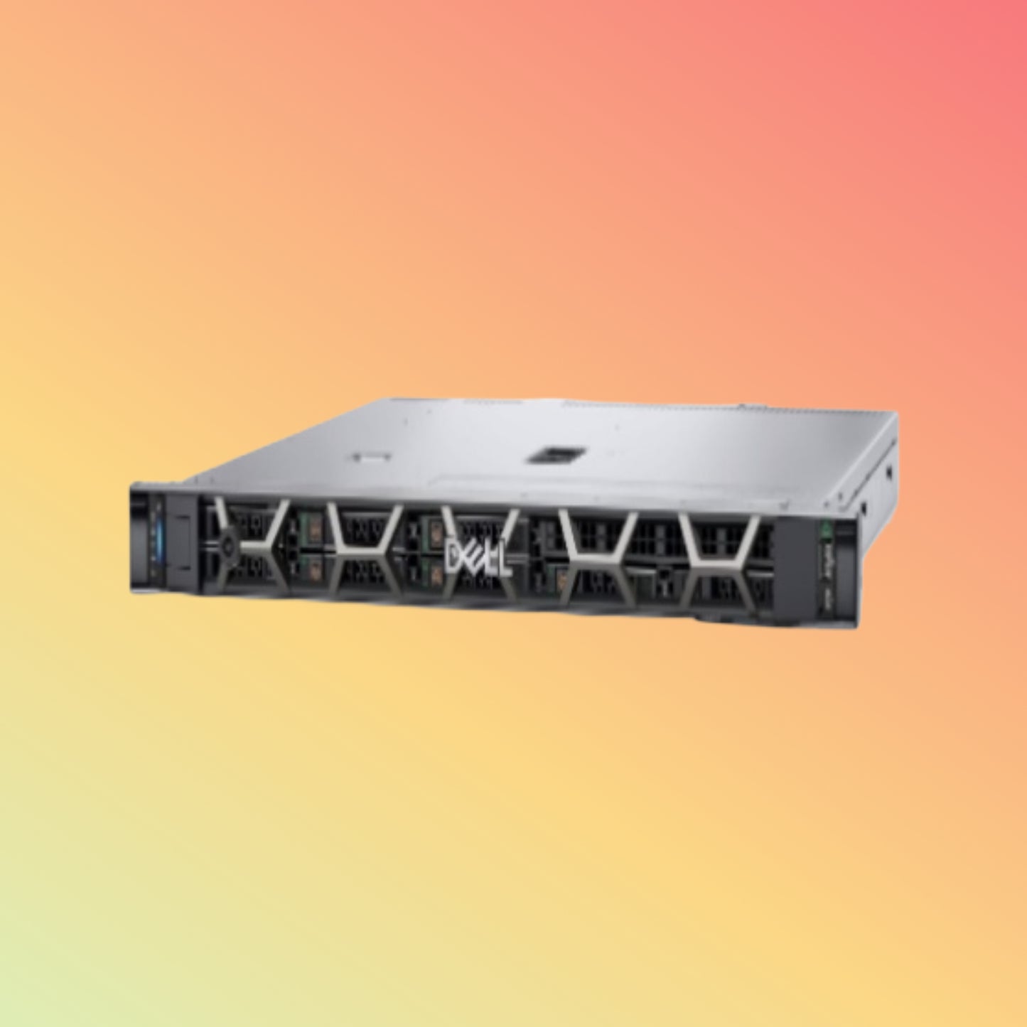 DELL R6615 Rack Server