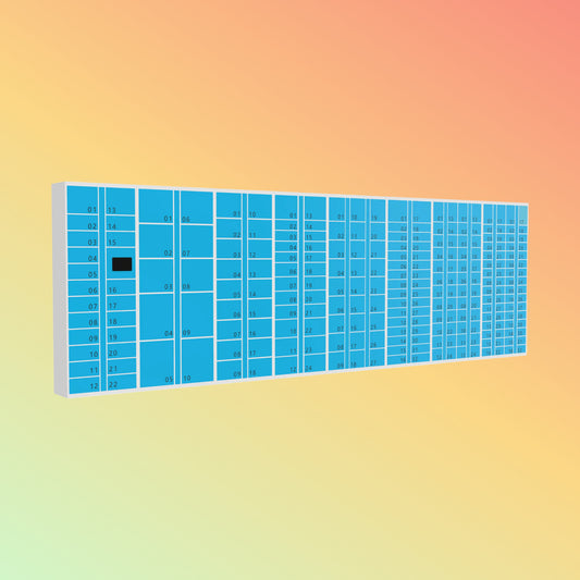 DEWOD Indoor Smart Parcel Lockers, 10–48 Doors Express Cabinet
