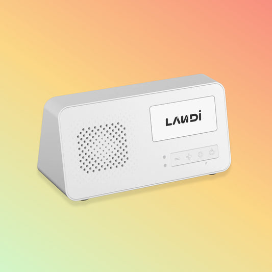 Landi NS20 SoundBox