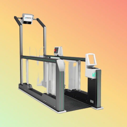 Magnetic Access Immigration Gate
