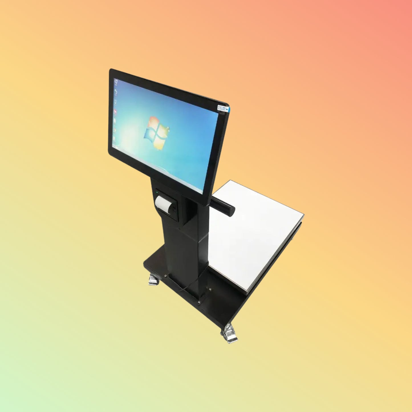 Zkscales ACN-300
